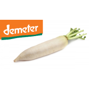Ředkev bílá - DEMETER - Itálie (bedna cca 12 ks)